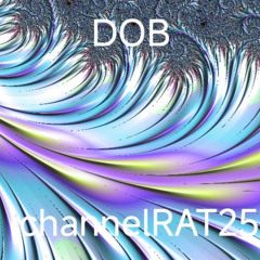 Kanalratte 0825 ( fortgeschrittene Stunde )