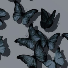 LAS MARIPOSAS YA NO VUELAN MAQ 1