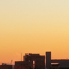 Highly Seen [prod.IronicDon]