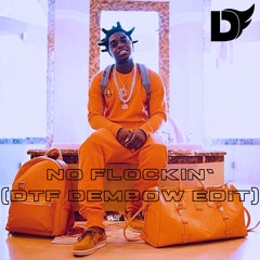 NO FLOCKIN' (DtF DEMBOW EDIT) (FREE DL)