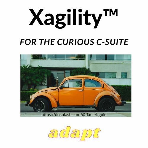 Stream Trailer - Sustainable Xagility™ - board &amp; executive c-suite agility by John Coleman 25 | Listen online for free on SoundCloud
