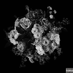Flowers No Vase Prod 6houl