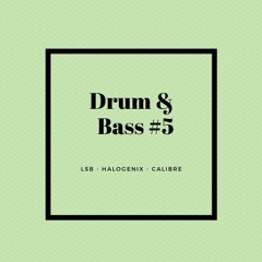 Drum & Bass #5 - LSB - Halogenix - Calibre