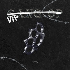 Nitty - Gang Op VIP
