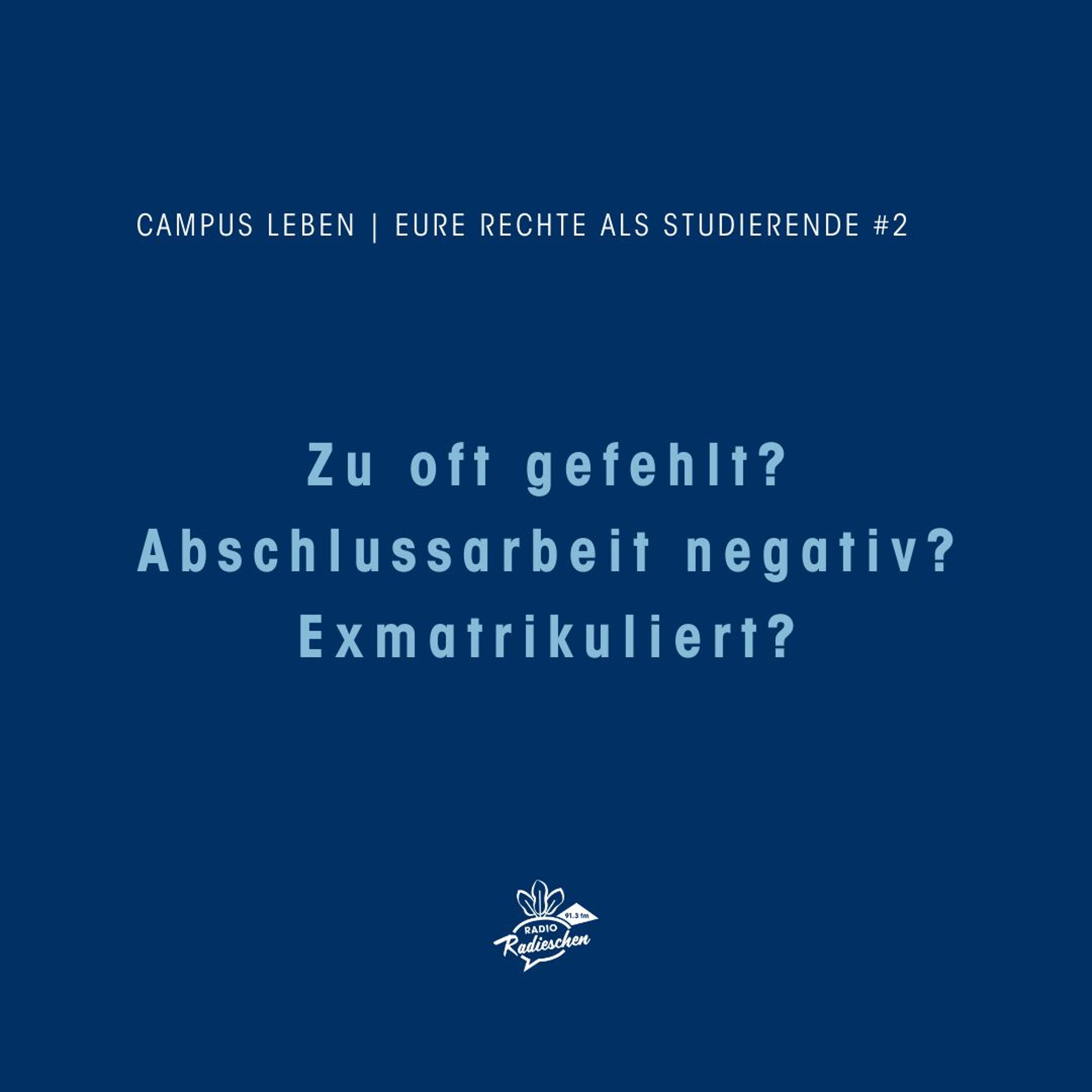 Eure Studi-Rechte an der FH: Karenz? Zu oft gefehlt? Abschlussarbeit negativ? Exmatrikuliert? episode artwork