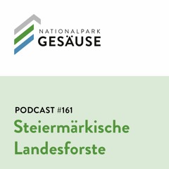 Podcast #161 Die Steiermärkischen Landesforste - quo vadis?