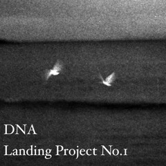 DNA - LANDING PROJECT No1
