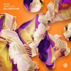 BICEP - APRICOT BOOTLEG (I.C.U BOOTLEG) FREE DL*