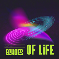 Echoes Along the Path