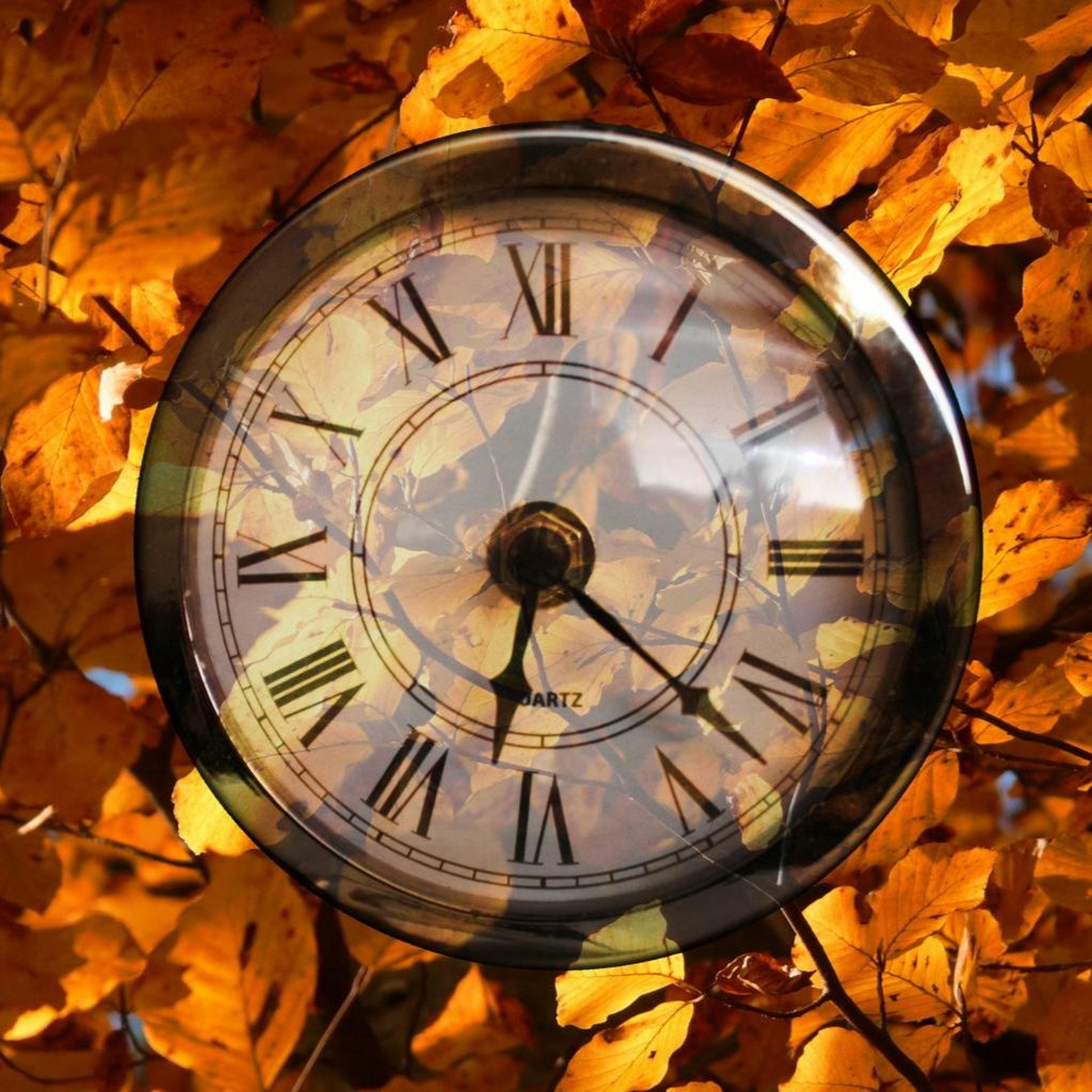 LW #99: Clocks Fall Back and News from October 21 - 26, 2020 episode artwork