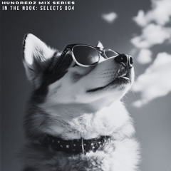 In The Nook: Selects 004