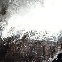 Who do you think you are