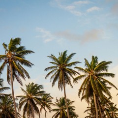 In Paradise