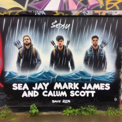 DJ Seajay & Mark James Ft Calum Scott - Flaws (UKbounce Remix)