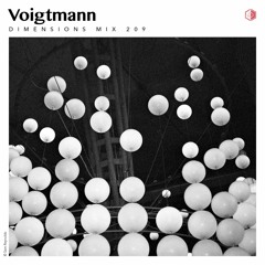 DIM209 - Voigtmann