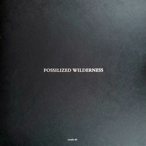 Fossilized Wilderness - 4 (ENMB07)