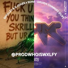 SKRILLEX & G JONES x SORA - DRUIDS CHANGES [FLIP] (@prodwhoiswxlfy)