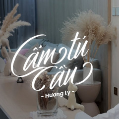 RayO, Huỳnh Văn x Hương Ly Cover - Cẩm tú cầu (Sidz Remix)