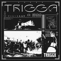 TRIGGA (feat. NJ)