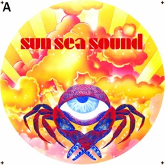 SSS001/Torn Sail - Gain On Gains (Shrinkwrap Remix)