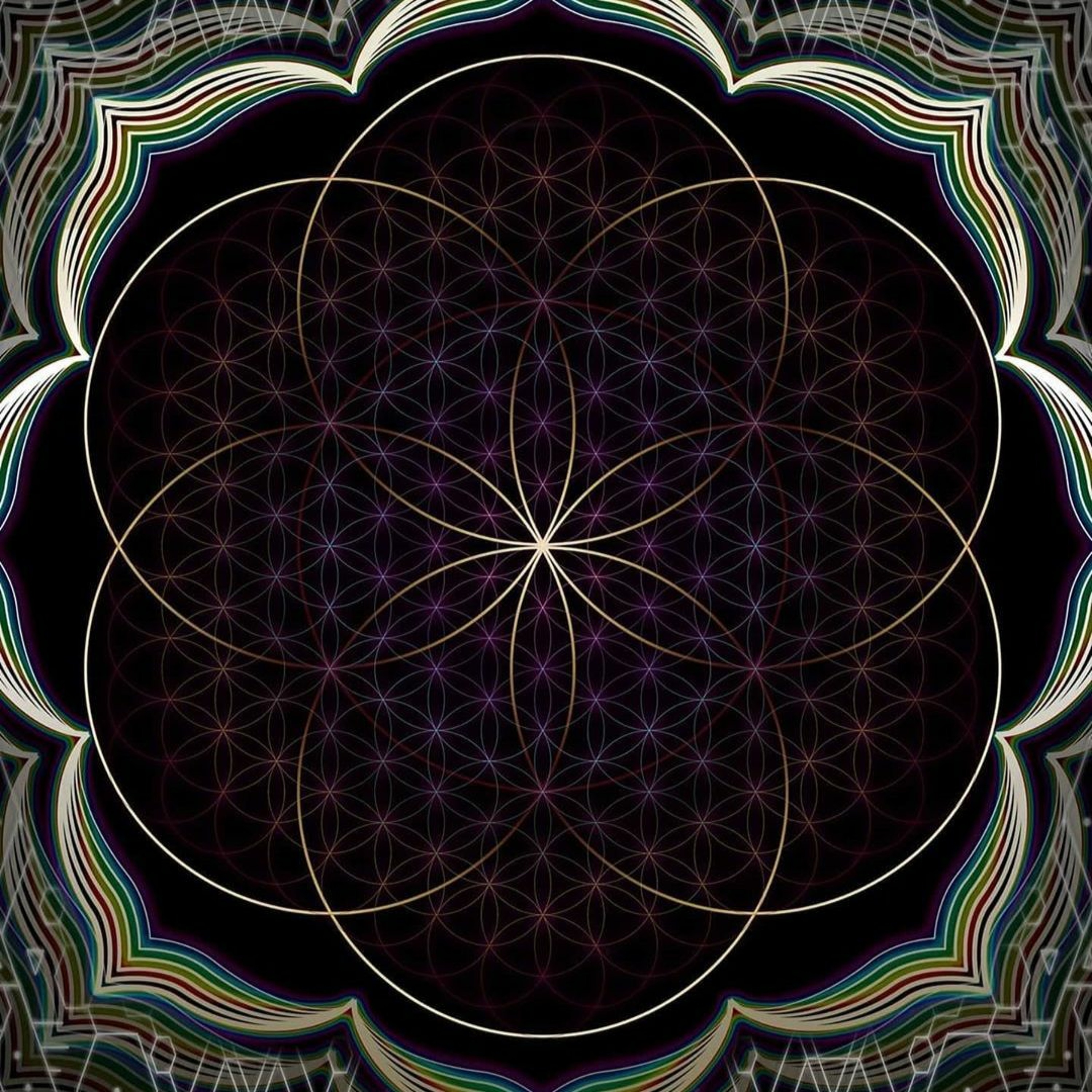 Keep It Psychedelic 11.2020 [Dj Set-Thank You For 700k SC Plays][Forest,-NightPsy]