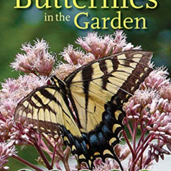 Get EPUB 📗 Raising Butterflies in the Garden by  Brenda Dziedzic EPUB KINDLE PDF EBO