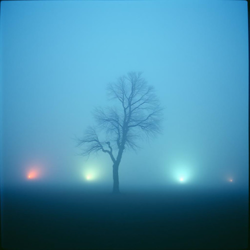 Creeping Fear