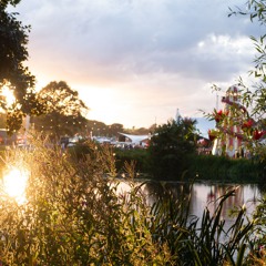 Gratitude Of The Sun