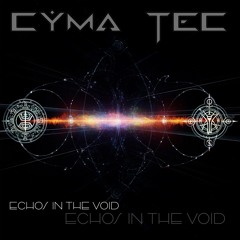 Echos In The Void 501