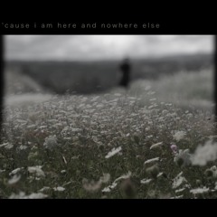 You Are Here (Tomberlin)