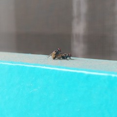 El día de antes de ayer