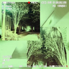 my poltergeist