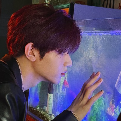 장하오 - 喂 (Wei)