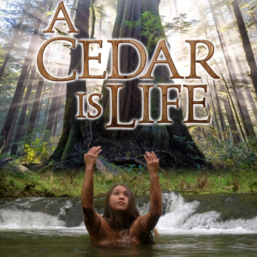 "Forest Is Winding" from the Leo Award Nominated Documentary Film, "A Cedar Is Life".