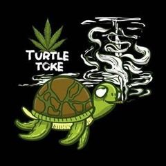 Turtle DNB Mix