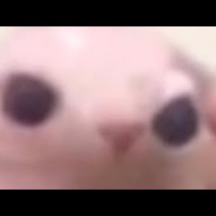 Hitchiker - 11 (YeLiE bootleg)