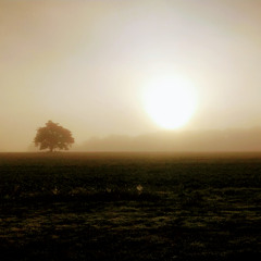 FPAW - Pour Les Nuages