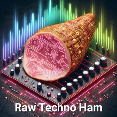 Raw Techno Ham