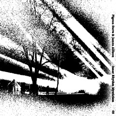 Pigeon Steve & James Allison - Live @ IRM 30.08.25