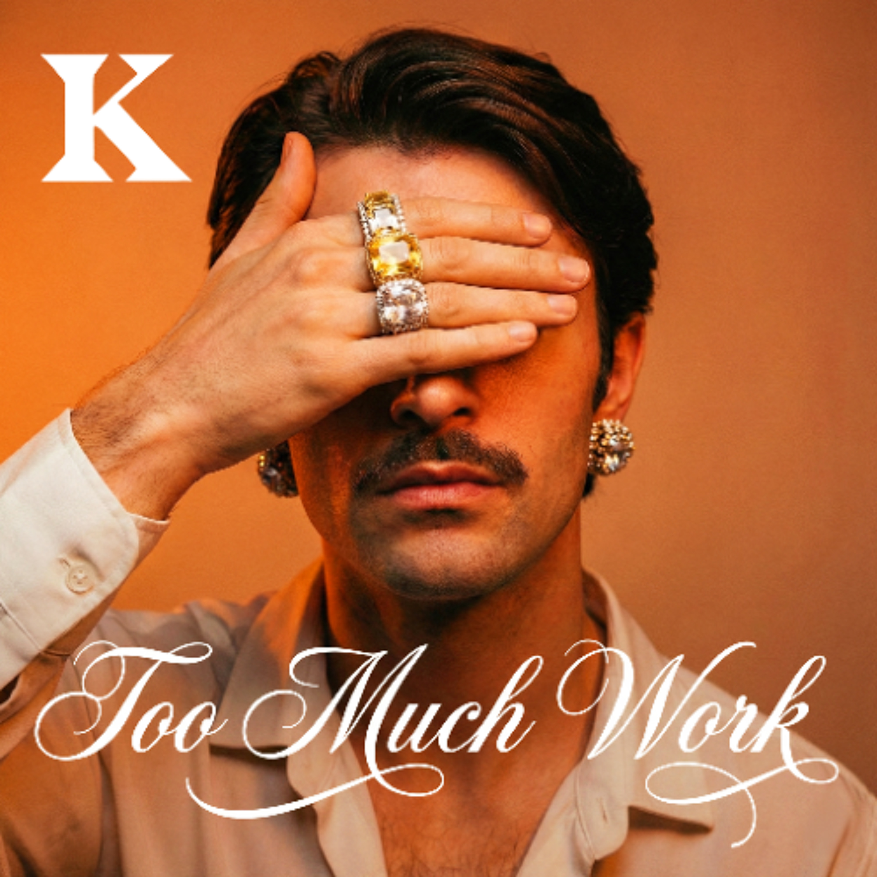 Too Much Work episode artwork