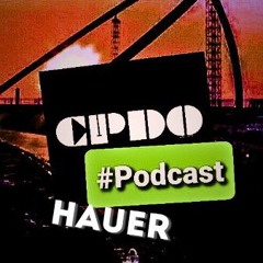 CPDO | Hauer || #61 Podcast
