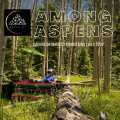 Among Aspens