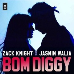 Zack Knight x Jasmin Walia - Bom Diggy (Xenasonic Remix)