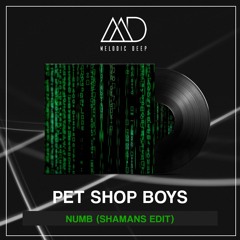 FREE DOWNLOAD: Pet Shop Boys - Numb (Shamans Edit)