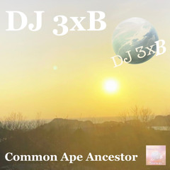 DJ 3xB - Common Ape Ancestor