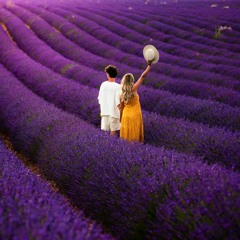 Rio pourcel - Moment Slowed Reverb