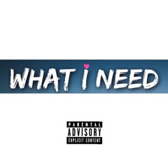 What i Need ft StevieG