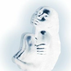 Kiss Of Life Sample Mix