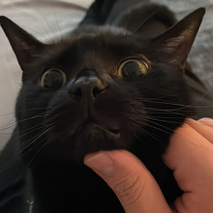 Fred Again x Frank Ocean Chanel (Full)