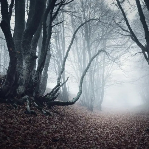 Mr.Wree Files Welcome to the Jungle